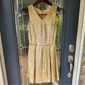 Gold matte shiny sequin sleeveless fit and flare v neck medium dress knee length